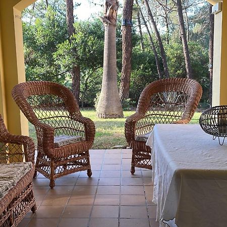 Apartamento Green Golf Islantilla Dış mekan fotoğraf
